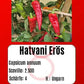 Hatvani Erös DER TOMATENFLÜSTERER