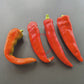 Hatvani Erös DER TOMATENFLÜSTERER