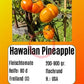 Hawaiian Pineapple DER TOMATENFLÜSTERER