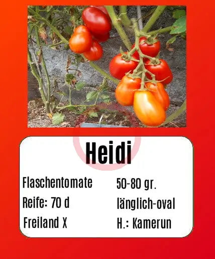 Heidi DER TOMATENFLÜSTERER