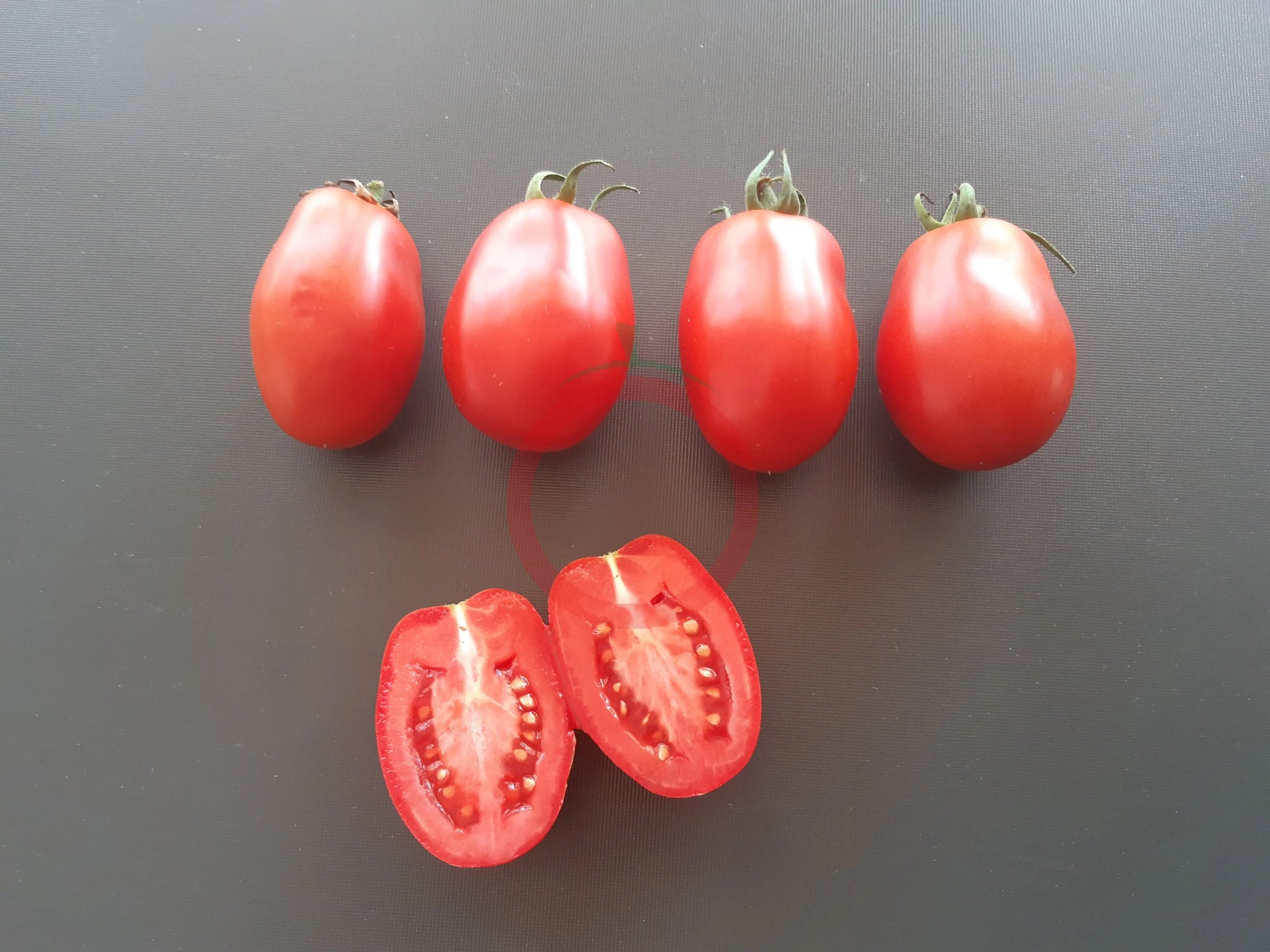 Heidi DER TOMATENFLÜSTERER
