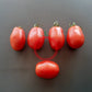 Heidi DER TOMATENFLÜSTERER