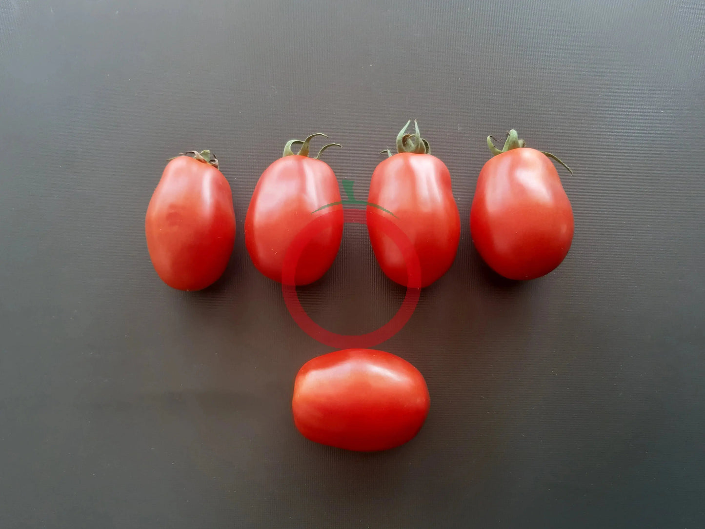 Heidi DER TOMATENFLÜSTERER