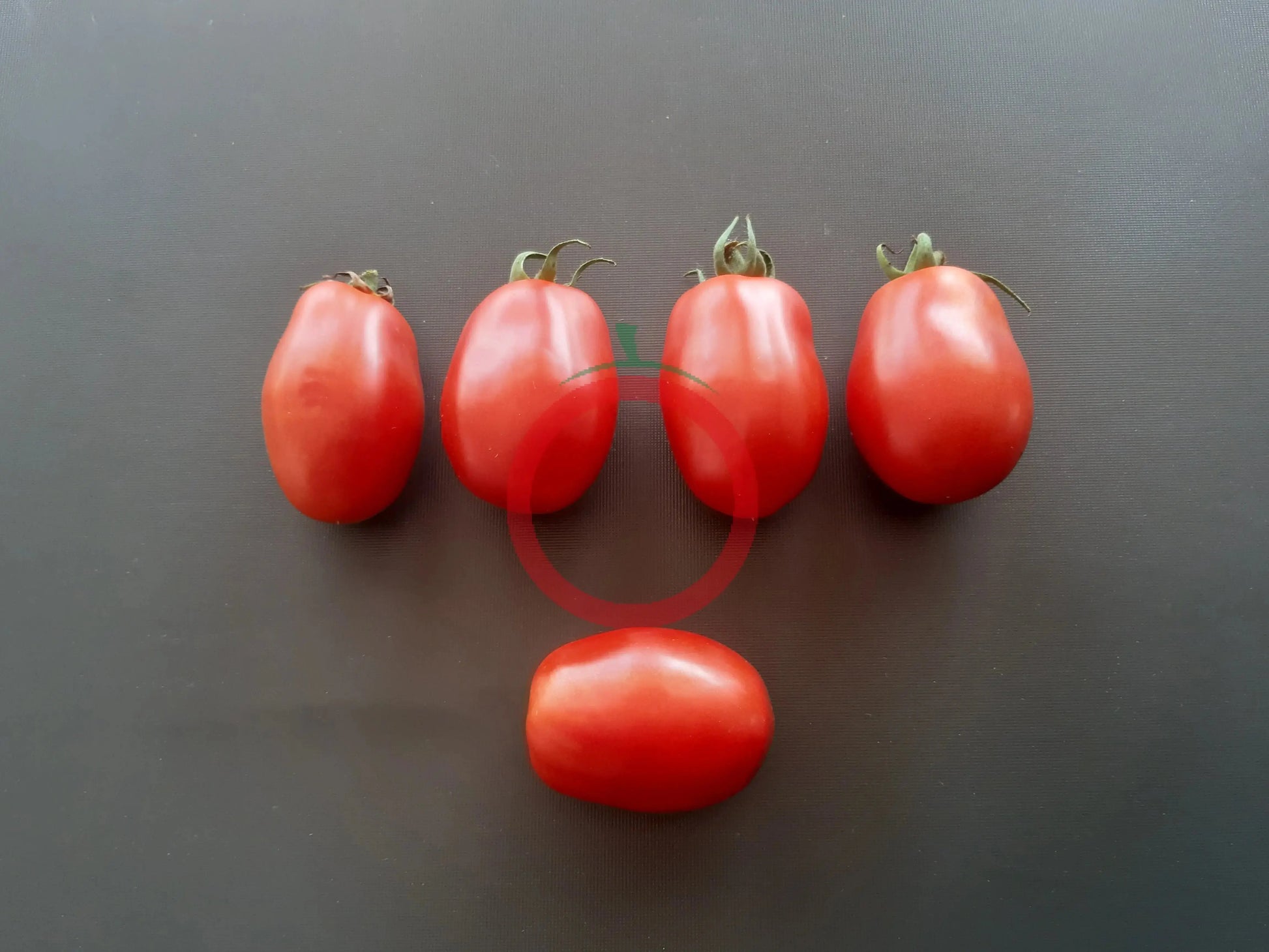 Heidi DER TOMATENFLÜSTERER