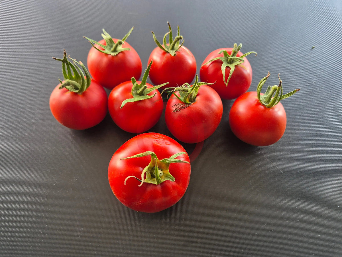 Heinz 1370 DER TOMATENFLÜSTERER