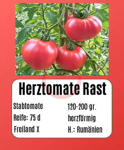 Herztomate Rast DER TOMATENFLÜSTERER