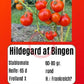 Hildegard af Bingen DER TOMATENFLÜSTERER