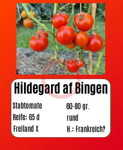 Hildegard af Bingen DER TOMATENFLÜSTERER