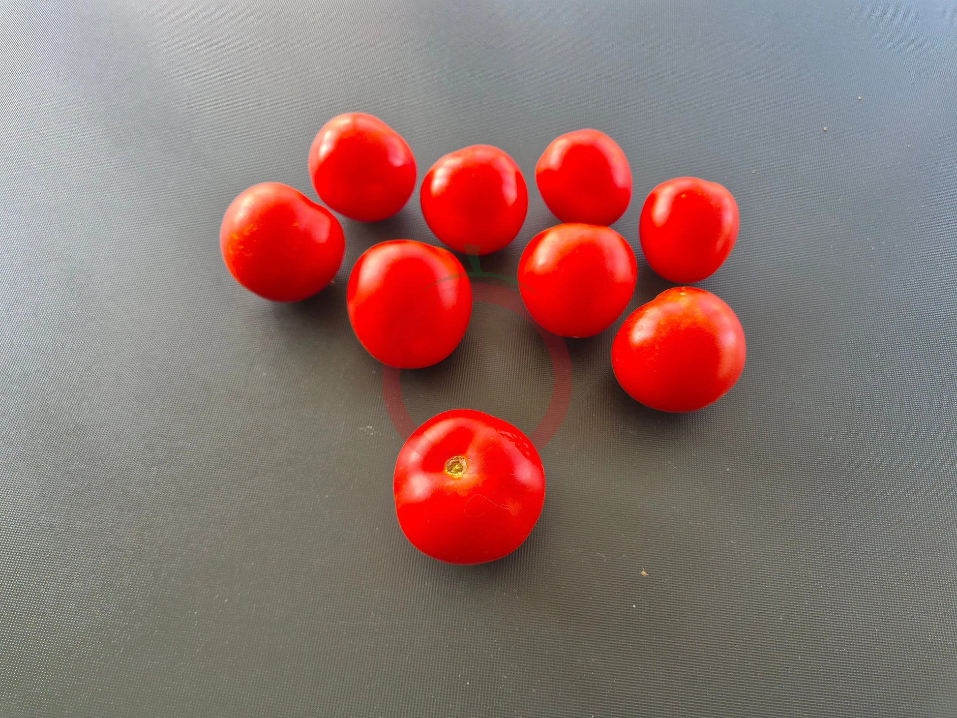 Hildegard af Bingen DER TOMATENFLÜSTERER