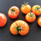 Hillbilly DER TOMATENFLÜSTERER