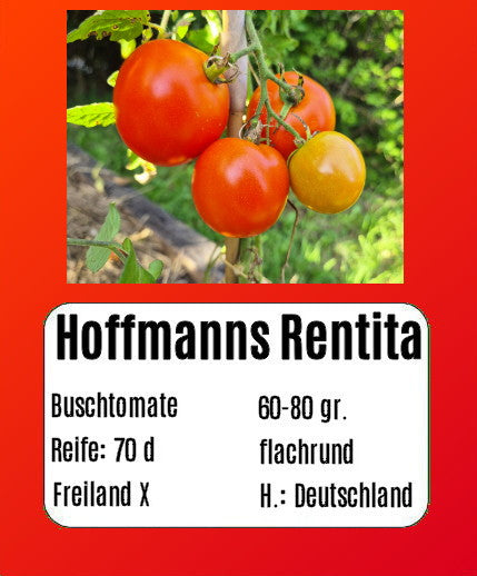 Hoffmanns Rentita DER TOMATENFLÜSTERER