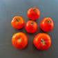 Hoffmanns Rentita DER TOMATENFLÜSTERER