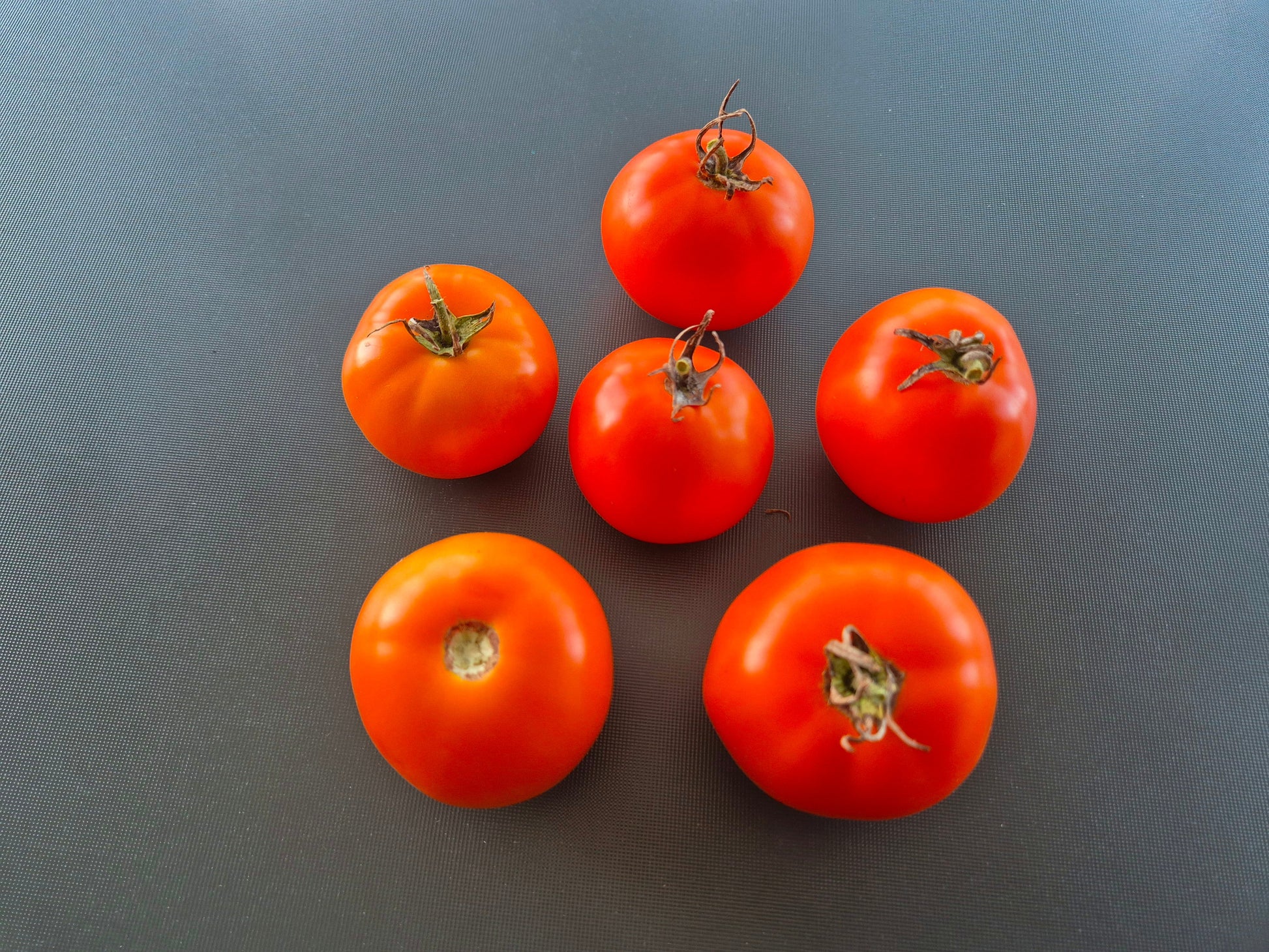 Hoffmanns Rentita DER TOMATENFLÜSTERER
