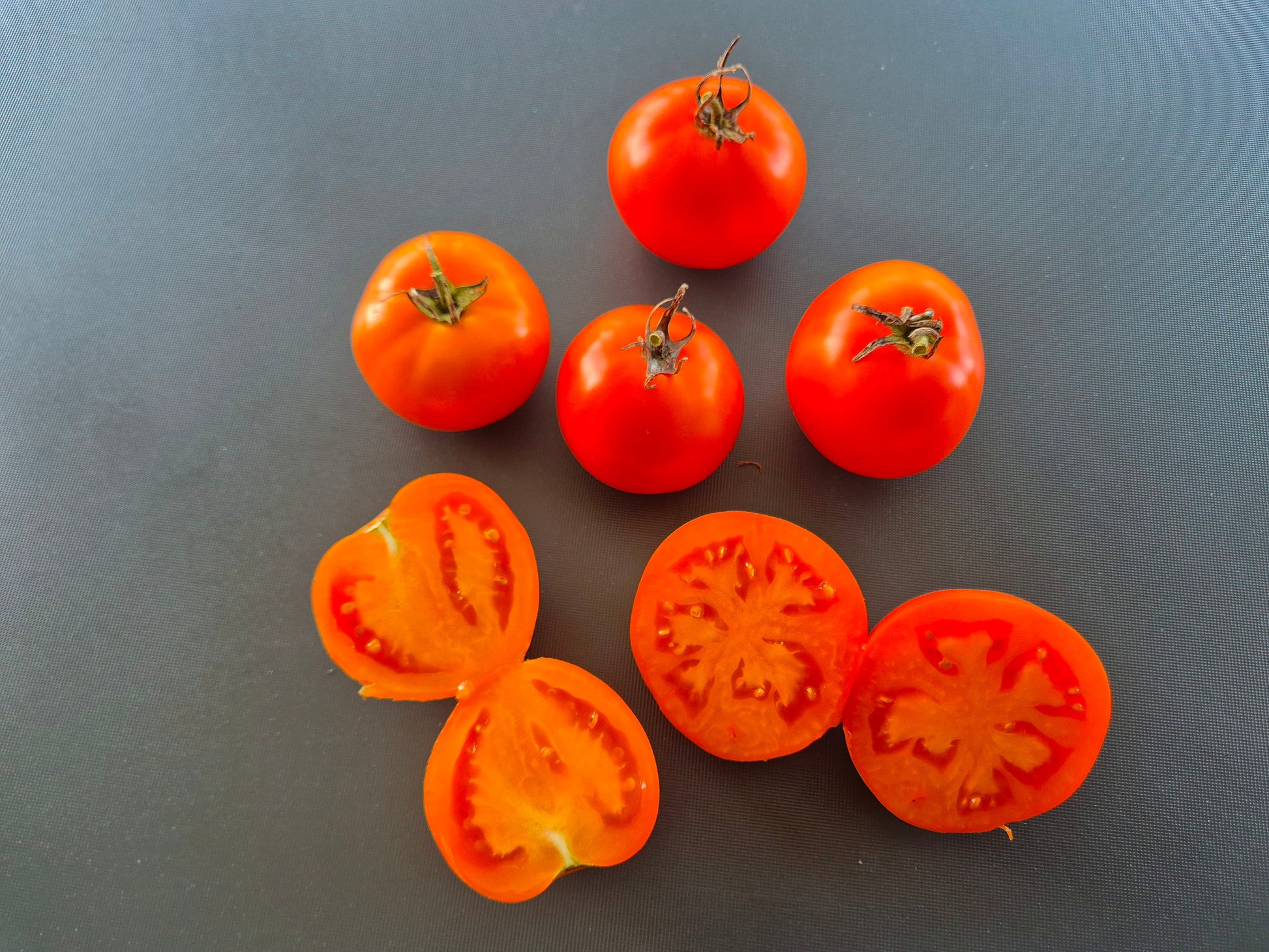 Hoffmanns Rentita DER TOMATENFLÜSTERER