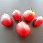 Hog Heart DER TOMATENFLÜSTERER
