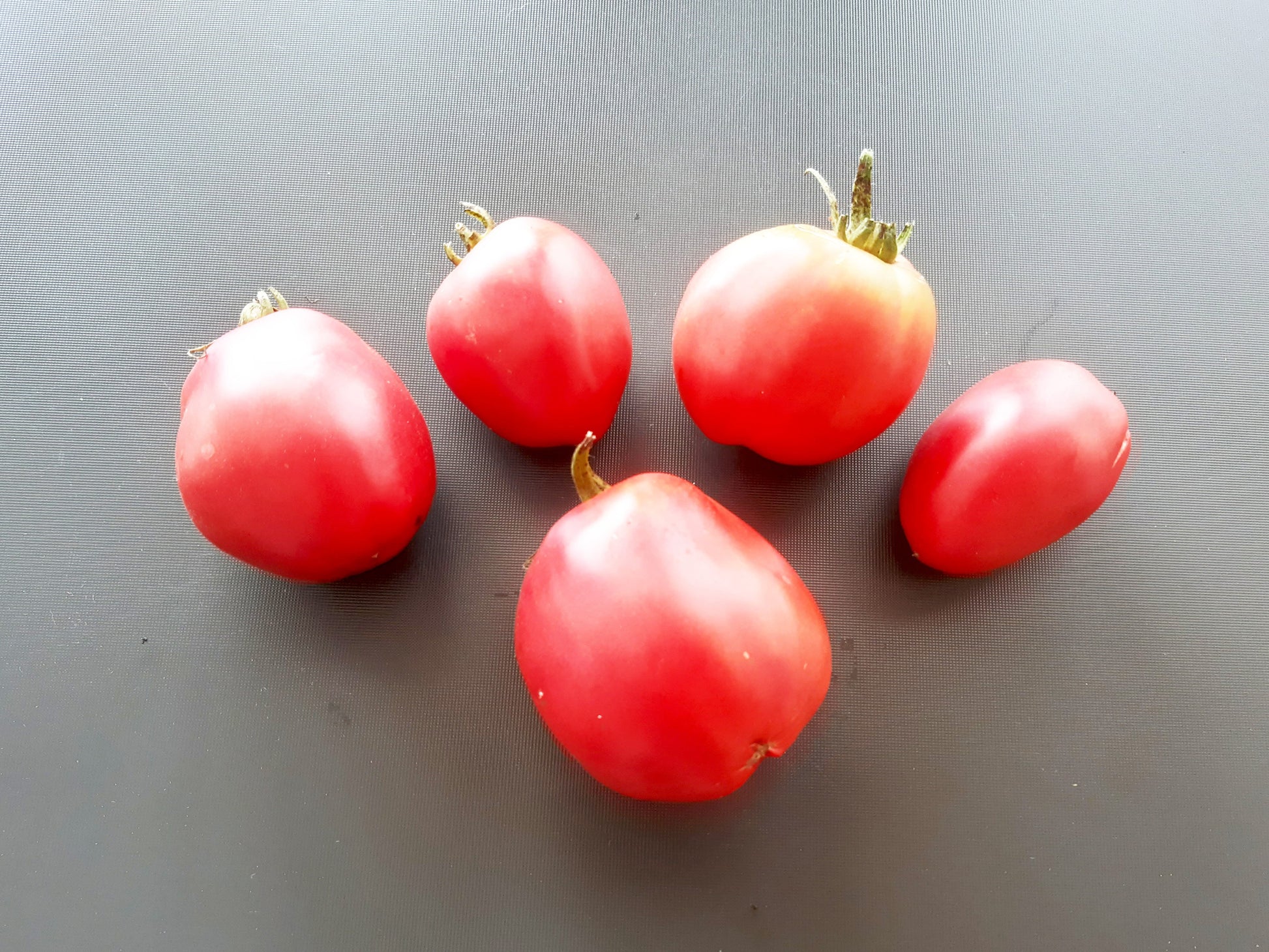 Hog Heart DER TOMATENFLÜSTERER