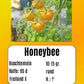Honeybee DER TOMATENFLÜSTERER