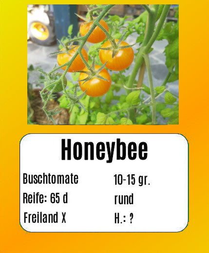 Honeybee DER TOMATENFLÜSTERER