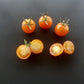 Honeybee DER TOMATENFLÜSTERER