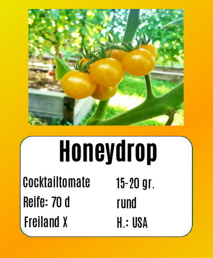 Honeydrop DER TOMATENFLÜSTERER