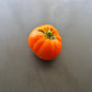 Hopkins Revolutionary DER TOMATENFLÜSTERER