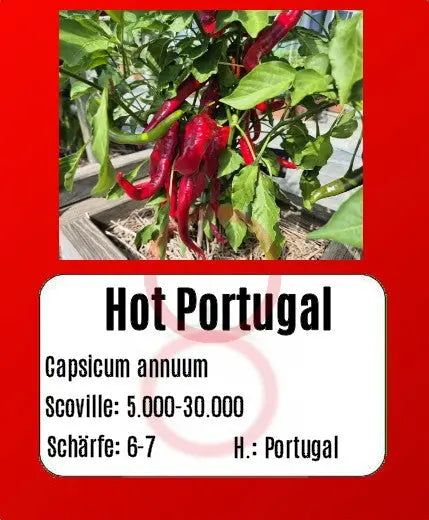 Hot Portugal DER TOMATENFLÜSTERER
