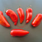 Howard German DER TOMATENFLÜSTERER