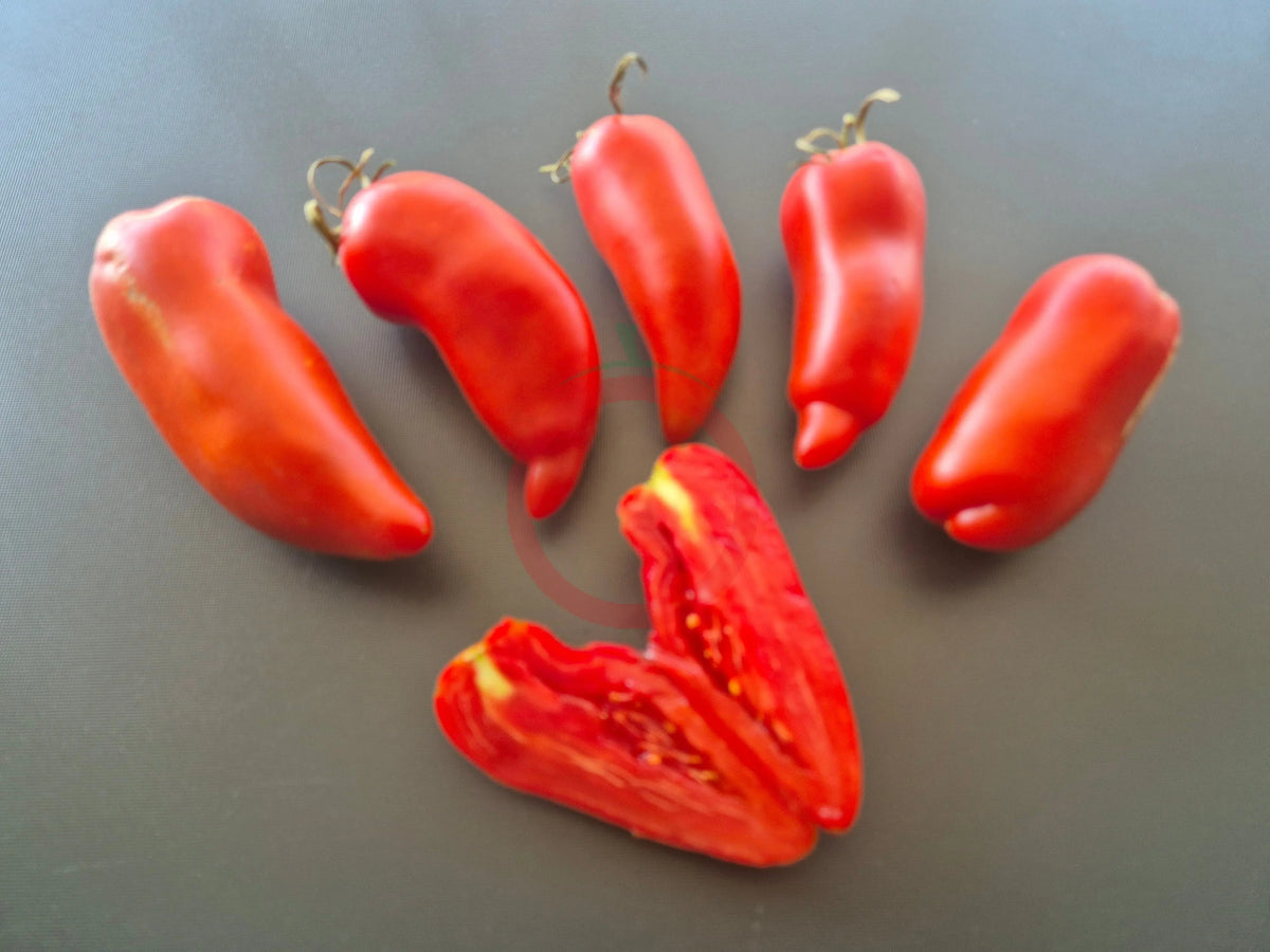 Howard German DER TOMATENFLÜSTERER
