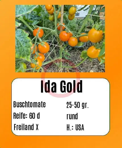 Ida Gold DER TOMATENFLÜSTERER