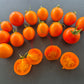 Ida Gold DER TOMATENFLÜSTERER