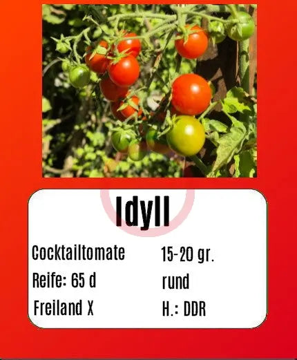Idyll DER TOMATENFLÜSTERER