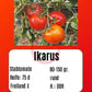 Ikarus DER TOMATENFLÜSTERER
