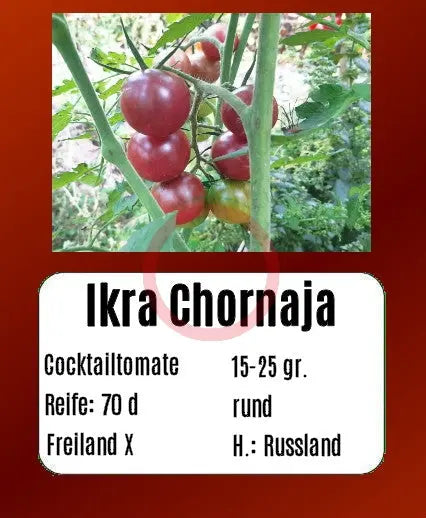 Ikra Chornaja DER TOMATENFLÜSTERER