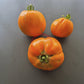 Ilja Muromets DER TOMATENFLÜSTERER