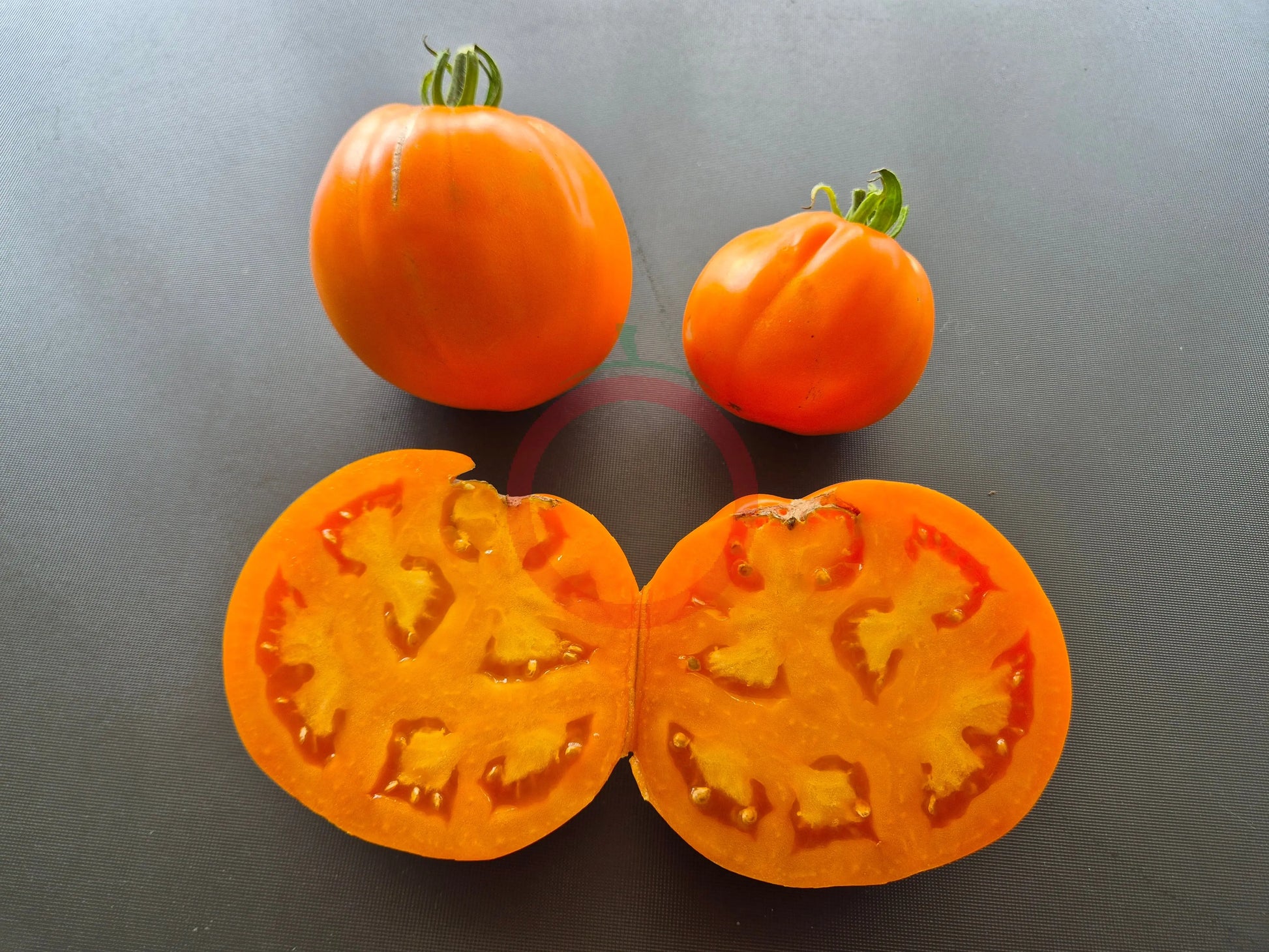 Ilja Muromets DER TOMATENFLÜSTERER