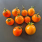 Ilse´s Yellow Latvian DER TOMATENFLÜSTERER