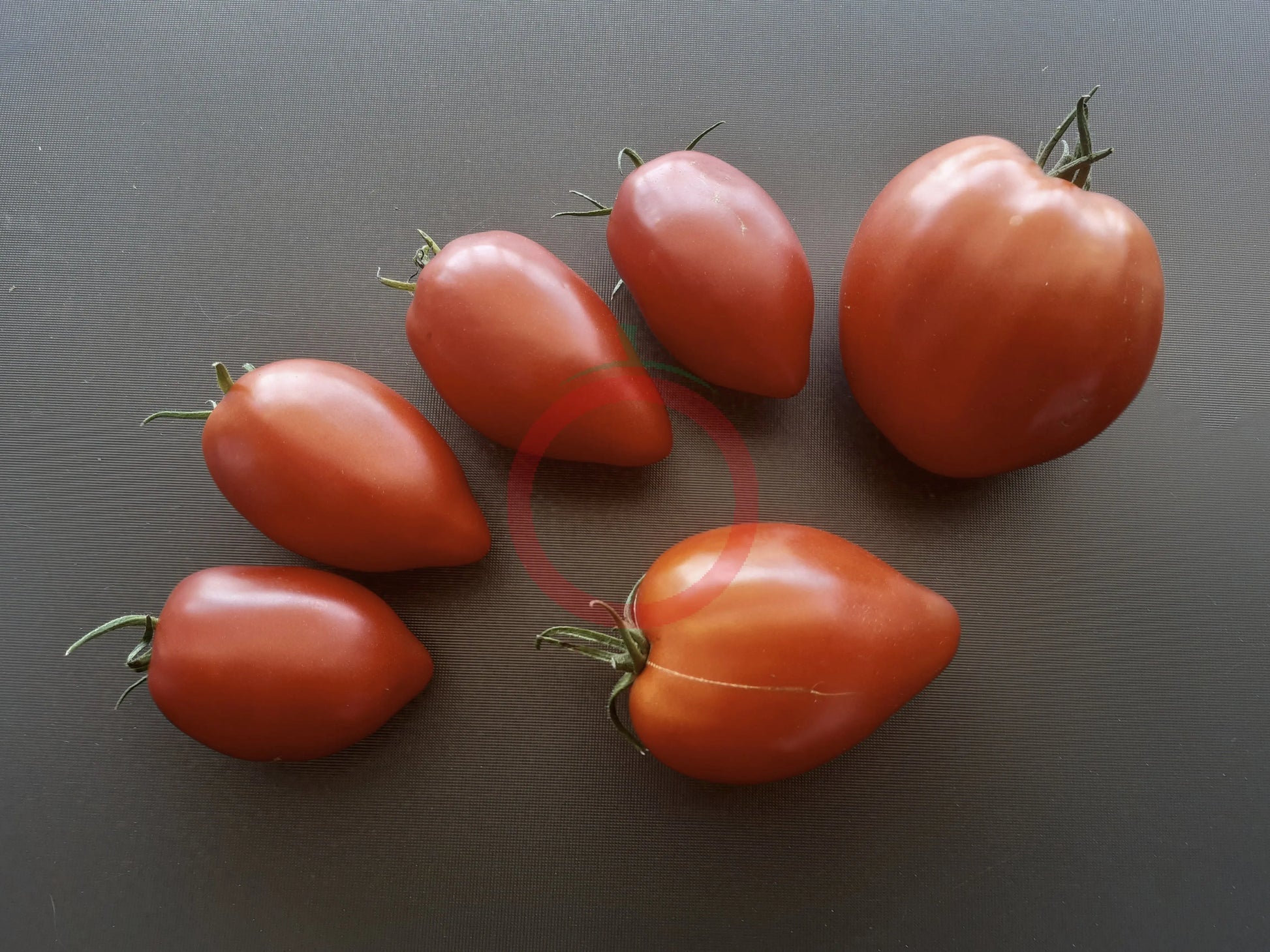 Inciardi Paste DER TOMATENFLÜSTERER