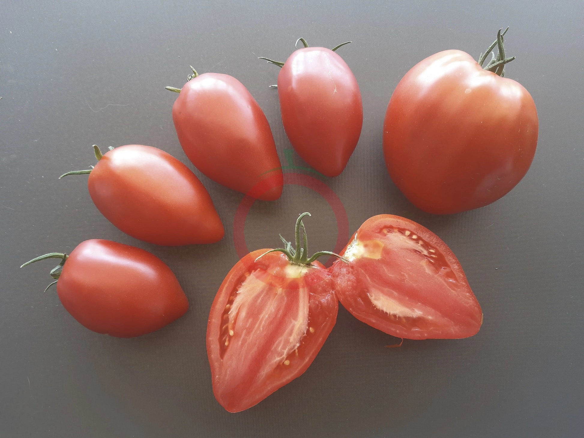 Inciardi Paste DER TOMATENFLÜSTERER