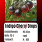 Indigo Cherry Drops DER TOMATENFLÜSTERER