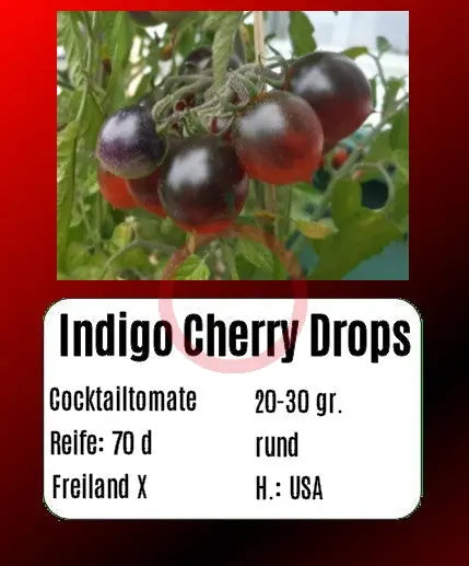 Indigo Cherry Drops DER TOMATENFLÜSTERER