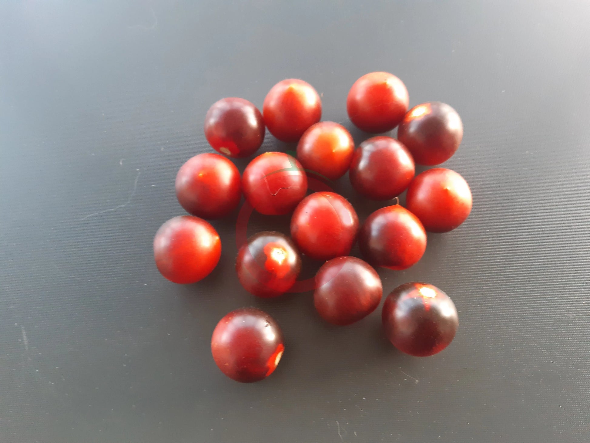 Indigo Cherry Drops DER TOMATENFLÜSTERER