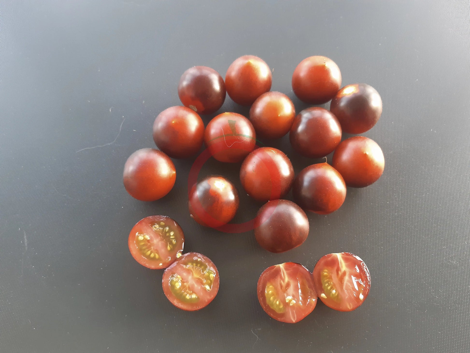 Indigo Cherry Drops DER TOMATENFLÜSTERER
