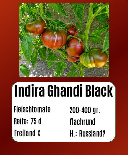 Indira Ghandi Black