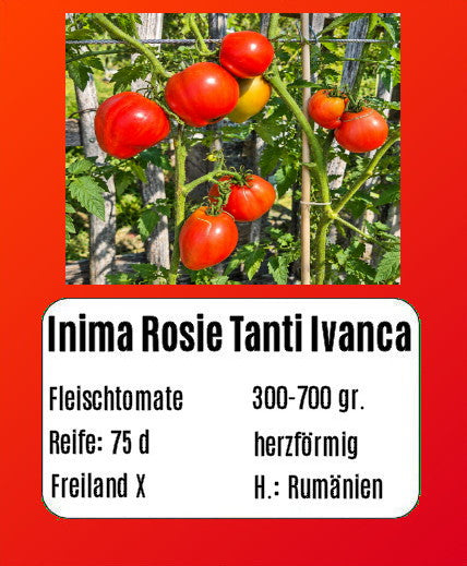 Inima Rosie Tanti Ivanca