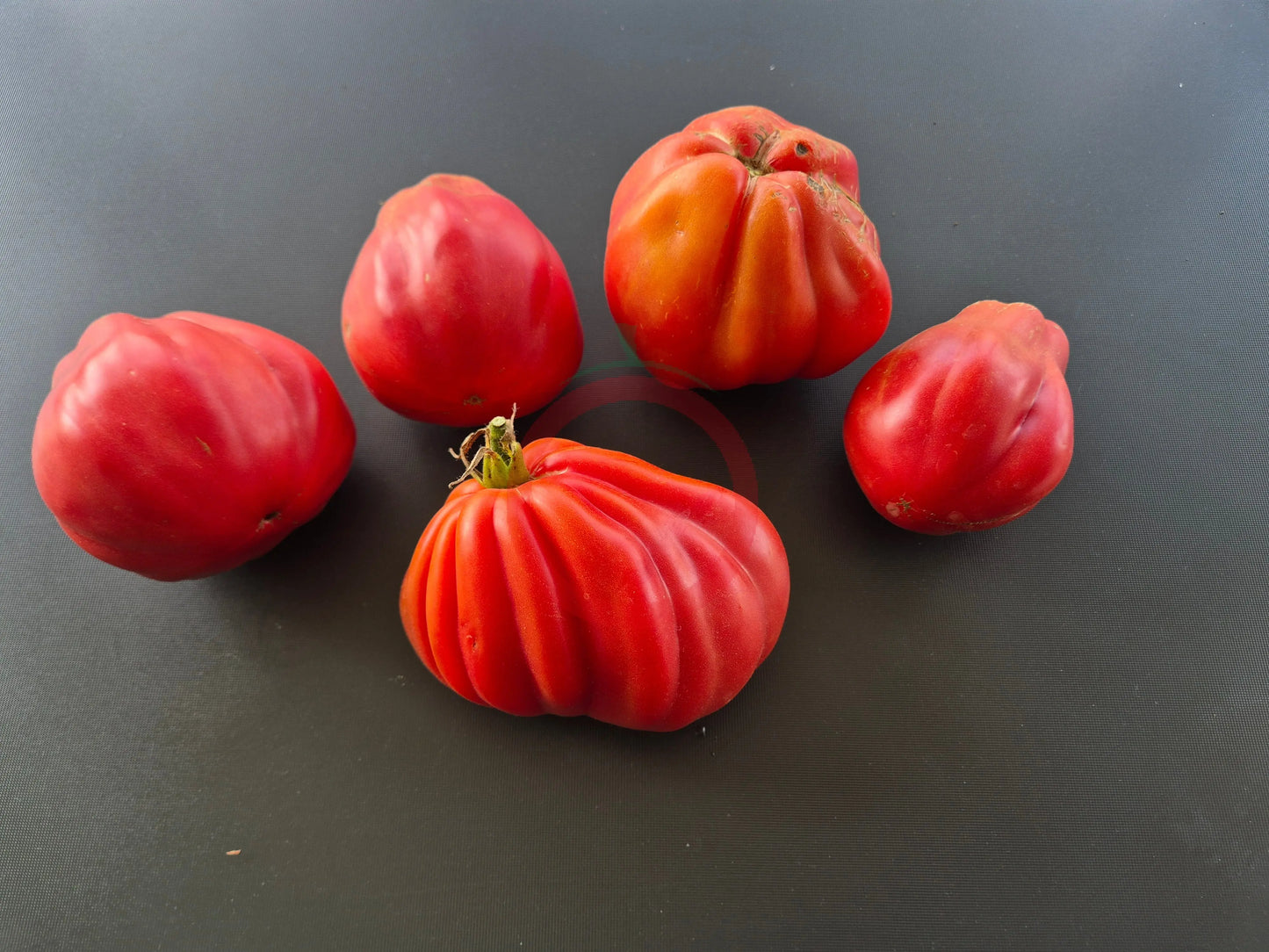 Inzhir Rozovyi DER TOMATENFLÜSTERER