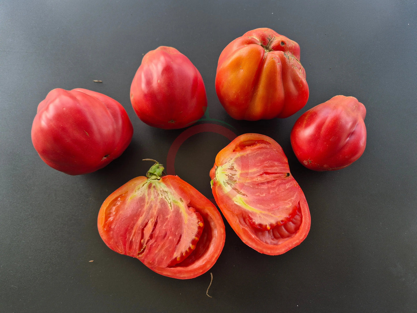 Inzhir Rozovyi DER TOMATENFLÜSTERER