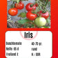 Iris DER TOMATENFLÜSTERER