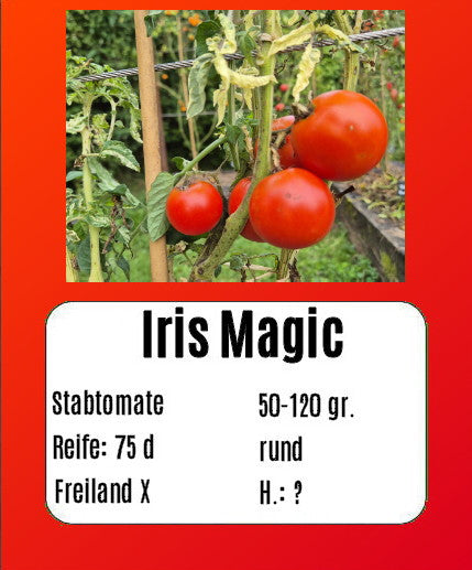 Iris Magic DER TOMATENFLÜSTERER