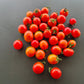 Isis Candy Cherry DER TOMATENFLÜSTERER