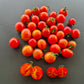 Isis Candy Cherry DER TOMATENFLÜSTERER